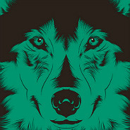 Teal Wolf Portrait