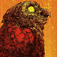 Red Owl Engraving