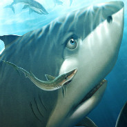 Shark and Remora