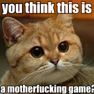 You Think This Is A Game Cat