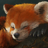 red panda