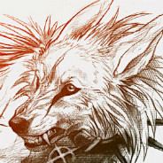 Wolf Sketch