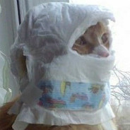 Cat In Diaper Hood