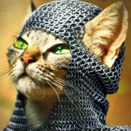 Chainmail Cat Knight