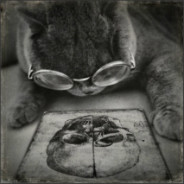 Cat Studying A Skull