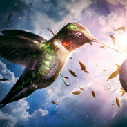 Cosmic Hummingbird